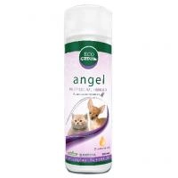 angel-site.200x200w.jpg