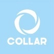 Collar шкіряні нашийники - заказать в интернет-магазине Зоофаворит, доставка по Украине Collar шкіряні нашийники - купить в Зоофаворит