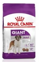RCGIGANTADULT1.300x300w.jpg