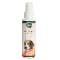 tropicana1.200x200w.jpg