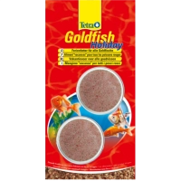 Tetra Gold fish Holiday