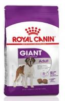 RCGIGANTADULT1.300x300w.jpg