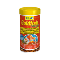 Tetra Gold fish ENERGY