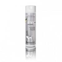 fiche_PYOclean-Shampoo.300x300w.jpg