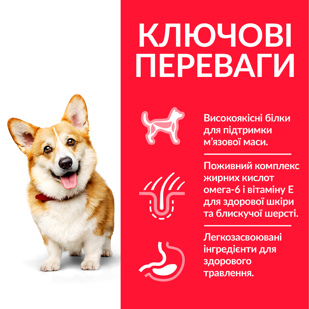 Hills Canine Adult Mini chicken-1.jpg